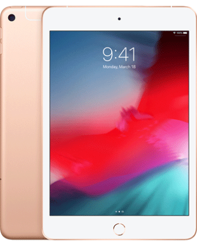 iPad Mini 5 cũ siêu lướt 64GB (Wifi+4G) 